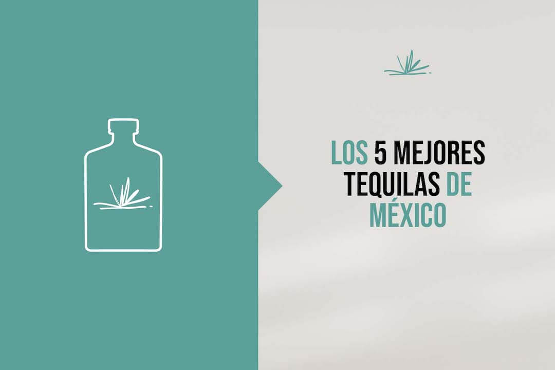 Los 5 mejores Tequilas de México